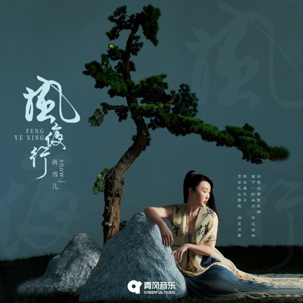 风夜行 (DJ Ah版)