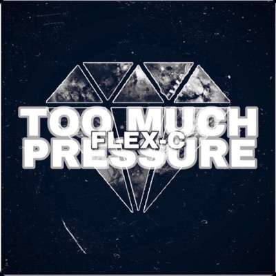 Too Much Pressure (feat. Sinseer) - Single