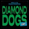 Diamond Dogs - Paul C & Paolo Martini lyrics