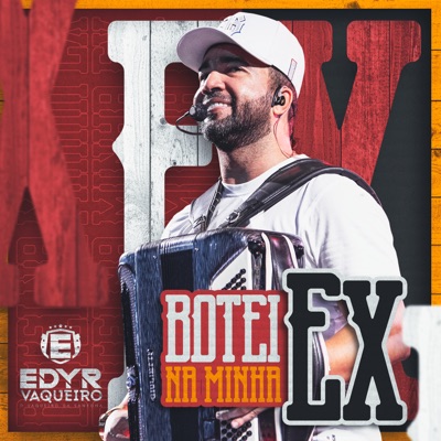 Botei na Minha Ex - Single