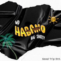 HABANO - Single - wp & Big Shorty