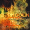 Burn Down (DTO Reimagined Mix) - Single