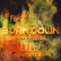 Burn Down (DTO Reimagined Mix) - Single - DTO & Alisa Ruby Bash