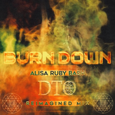 Burn Down (DTO Reimagined Mix) - Single