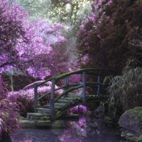 A Magical Place - Single - mxnii.