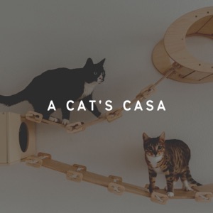 A Cat's Casa