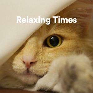 Relaxing Times