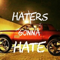 Haters Gonna Hate - Single - PC