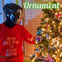 Ornament - Single - Unknown Persona