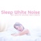 The White Noise - White Noise Records lyrics