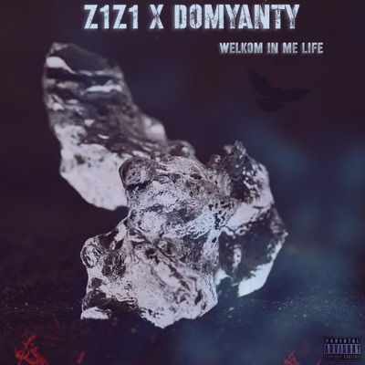 Welkom in me life (feat. Domyanty) - Single