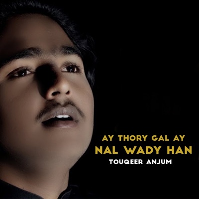 Touqeer Anjum - Ay Thory Gal Ay Nal Wady han