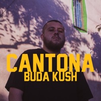 Cantona - Single - Buda Kush