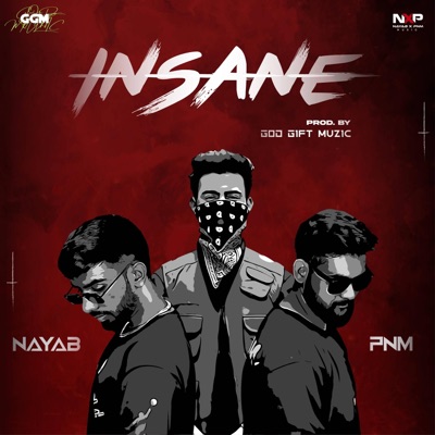 INSANE (feat. Nayab x PNM) - Single