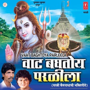 Vaat Baghtoya Parleela - Single