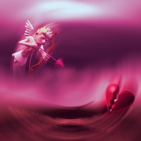 Omelette Du Fromage - Single - Basaa