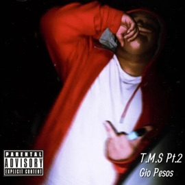 Aint Nothin! Gio Pesos