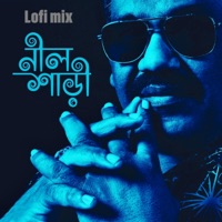 neel shari (feat. Ferdous Wahid) [lofi version] - Single - Habib Wahid