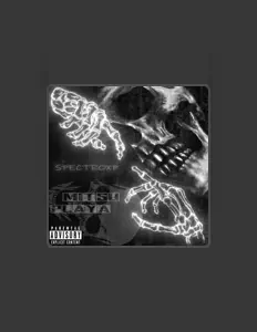 Posłuchaj wykonawcy SpectroXp, obejrzyj teledyski, przeczytaj biografię, zobacz daty tras koncertowych i nie tylko!