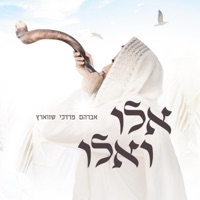 Eili Vueili - Single - Avrum Mordche Schwartz