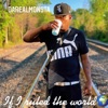 If I ruled the World - Single