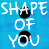 Shape of You (Originally Performed By Ed Sheeran) [Karaoke Version] - Starstruck Backing Tracks