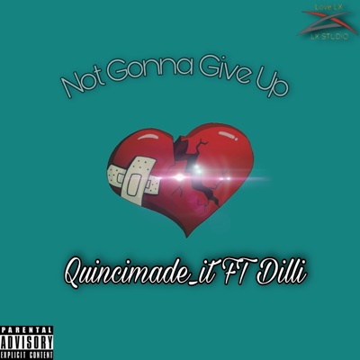 Not Gonna Give Up (feat. Dilli) - Single