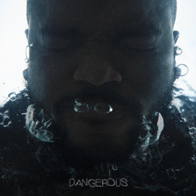 Dangerous - Single