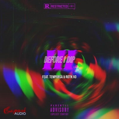Before I Dip III (feat. Tempo SA & RotnXo) - Single