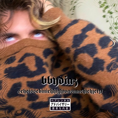 scheissebinichhighwasmachichjetzt - Single