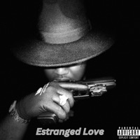 Estranged Love - Single - DOLO CAPO