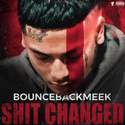 Shit Changed - Single
