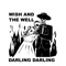 Darling Darling - Wish and the Well lyrics