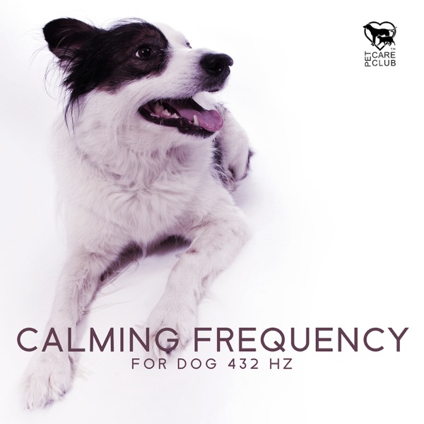 Calming Frequency for Dog 432 Hz