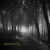 Awakening - Clarence Ofwerman