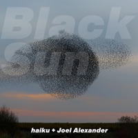 Black Sun (feat. Henrik Hytteballe) - Single - Haiku & Joel Alexander