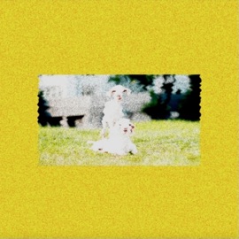 Chewing Goats TapeRtrn