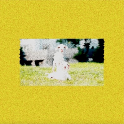 Chewing Goats - Single