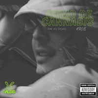 Humo de cannabis - Single - Phell
