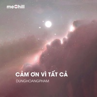 Cảm Ơn Vì Tất Cả (Lofi) - Single - DungHoangPham