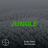 JUNGLE (Sleep Soundscape) artwork