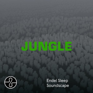 White Noise, Pt. 4 (Sleep Soundscape)