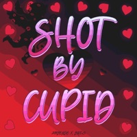 Shot By Cupid (feat. Bri-C) - Single - 219Bendo