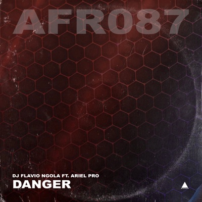 Danger (feat. Ariel Pro) - Single