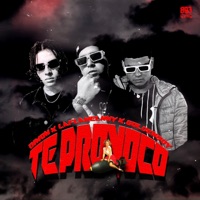 Te Provoco (feat. DIM0N & GoldenBoy) - Single - Laflamelnny