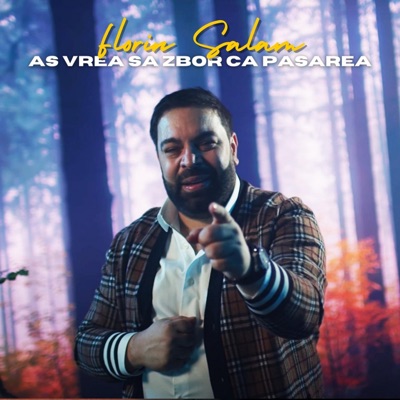Song - As vrea sa zbor ca pasarea - Florin Salam