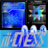 After the Madness - Yung Trunkz