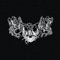 Det Hviskes Blant Sorte Vinder - Strid lyrics