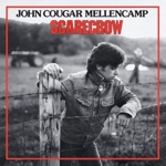 John Mellencamp - Rain On The Scarecrow