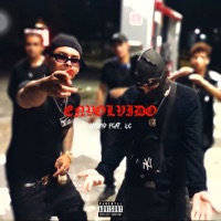 Envolvido (feat. LC) - Single - Dyoro